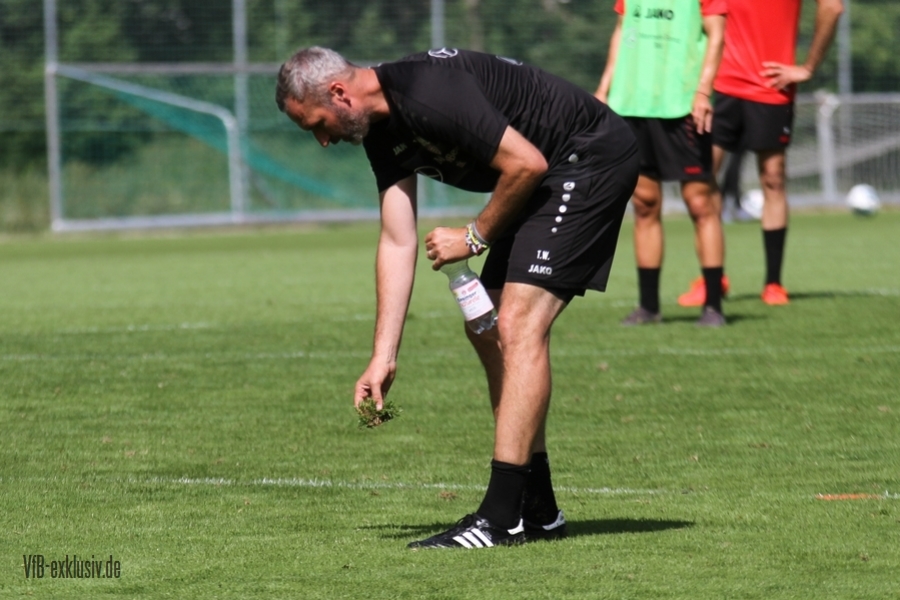 vfb26061911