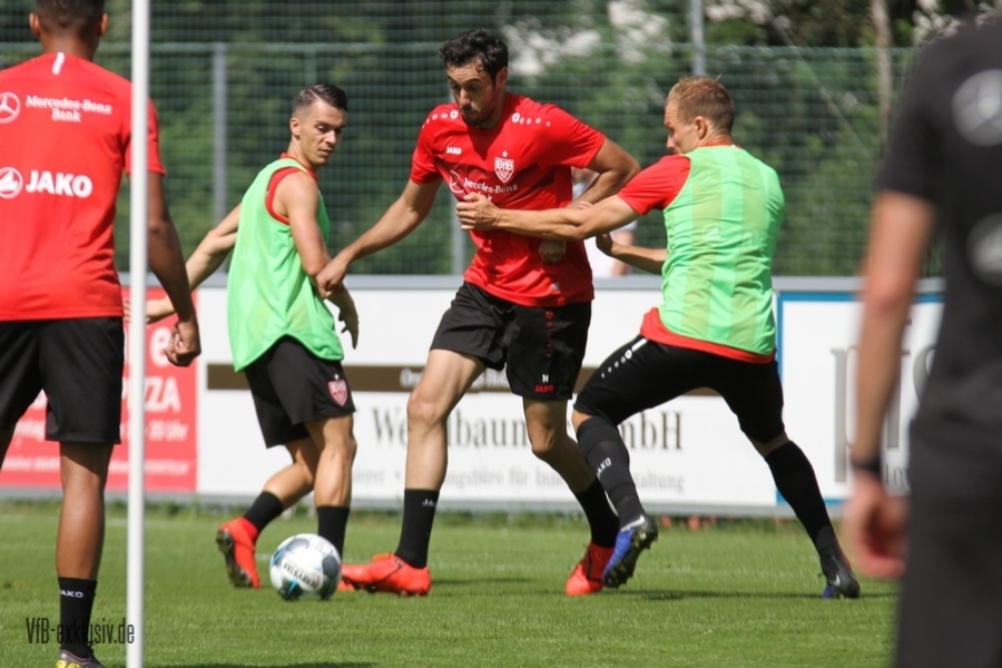 vfb26061919