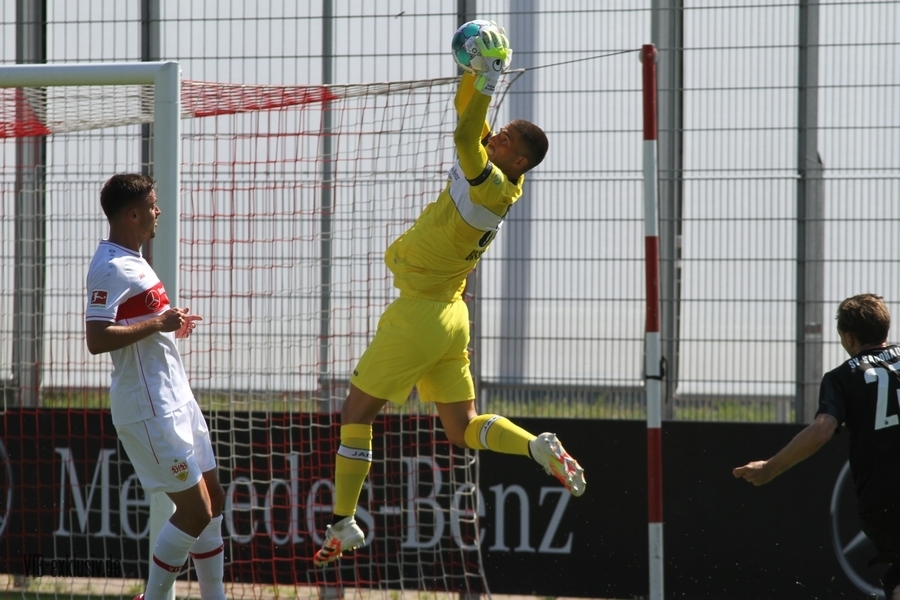 vfb08082011