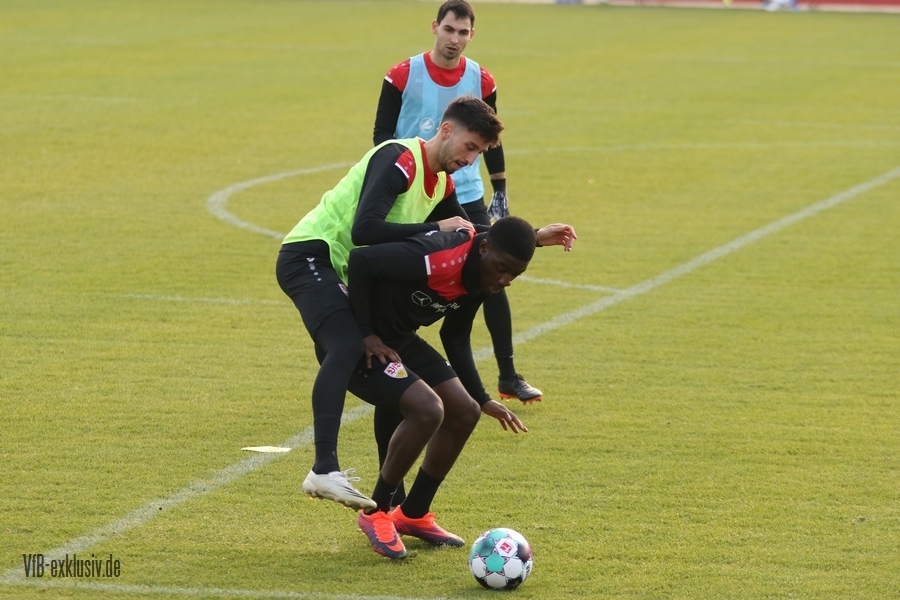 vfb11112010