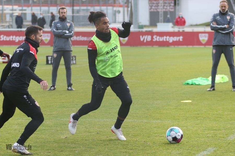vfb11112018