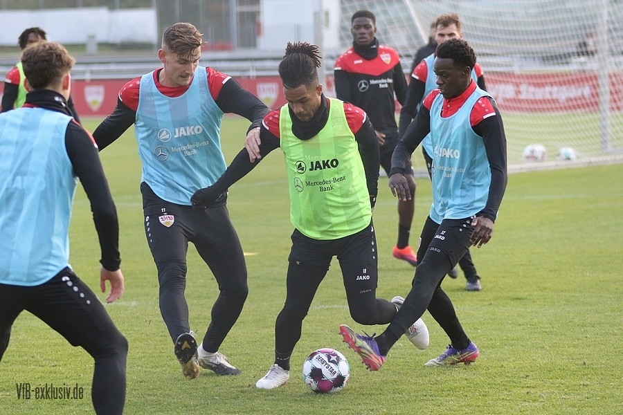 vfb11112019
