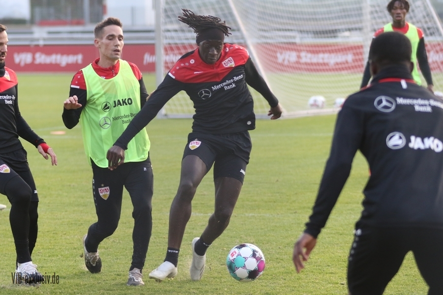 vfb11112022