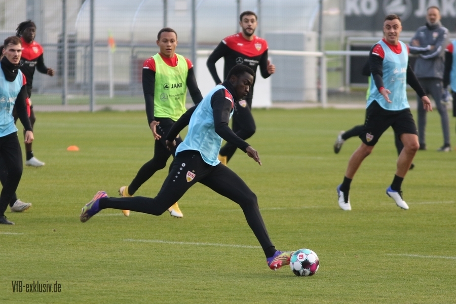 vfb11112023