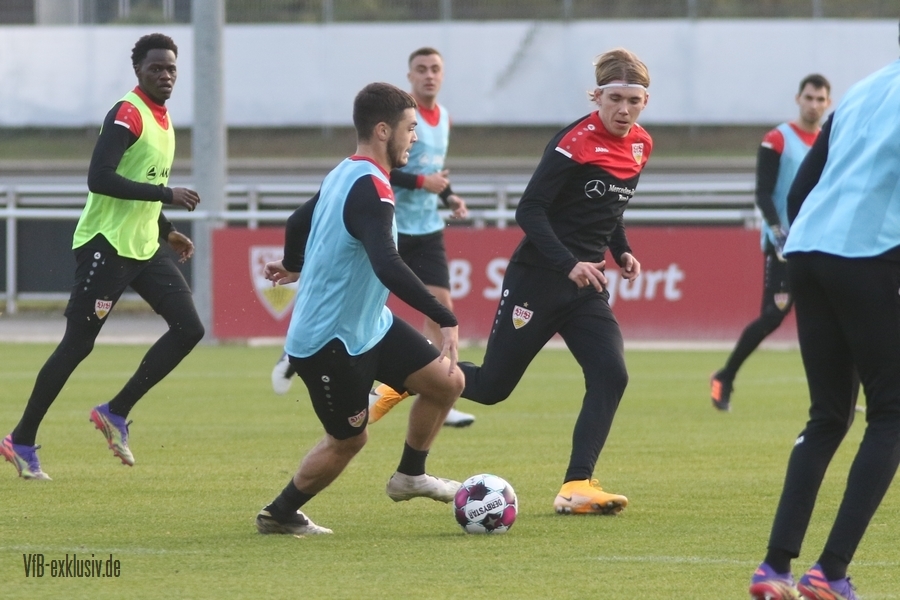 vfb11112025