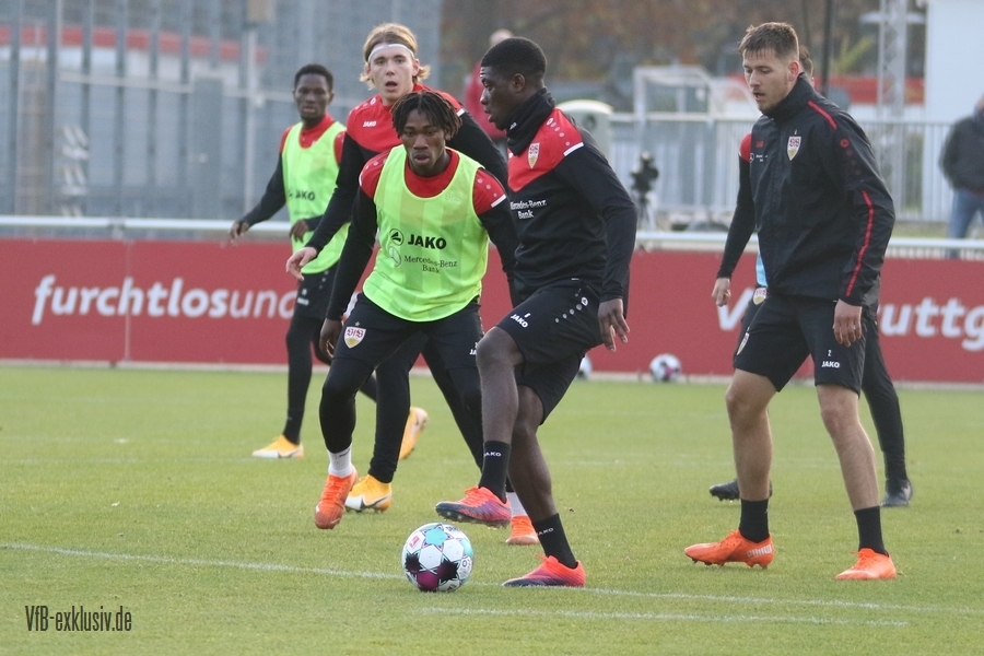 vfb11112026