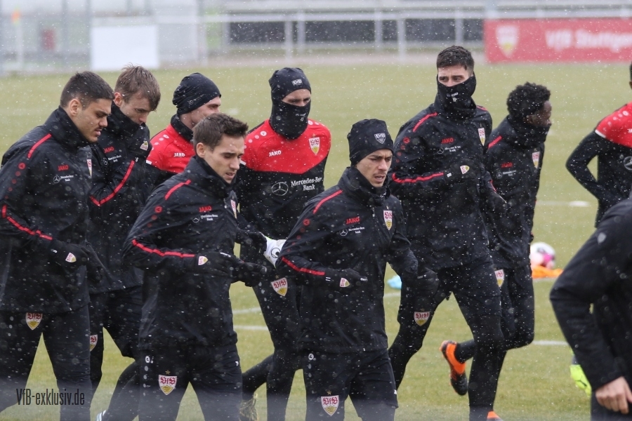 vfb24012101