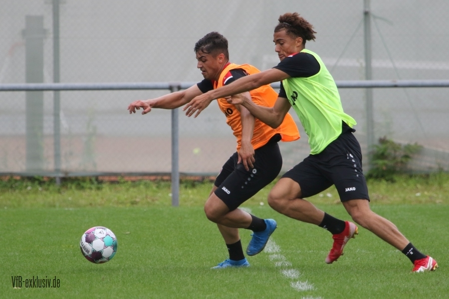 vfb11072119
