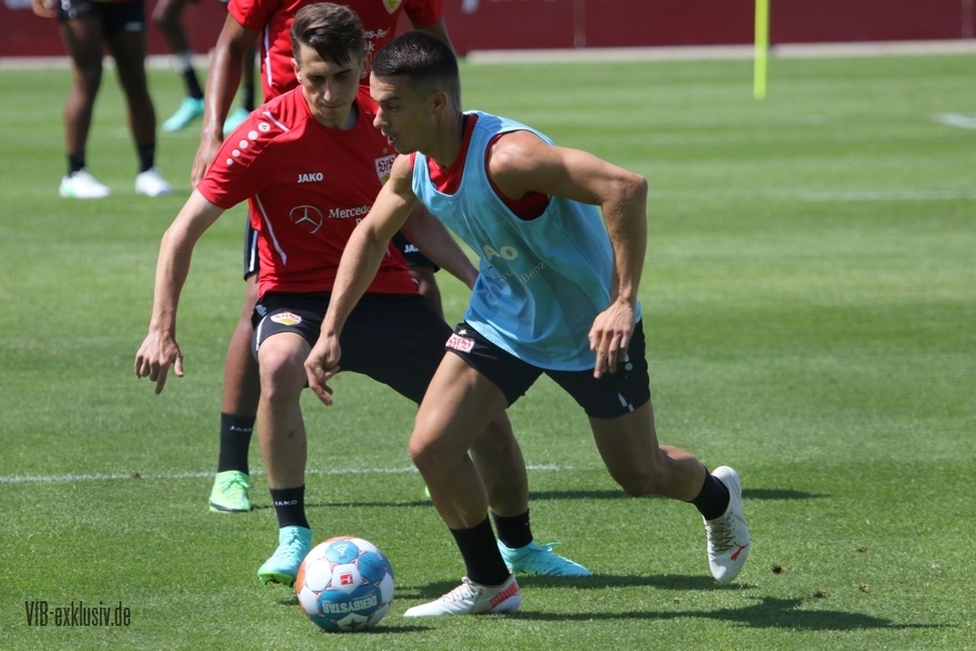 vfb12072119