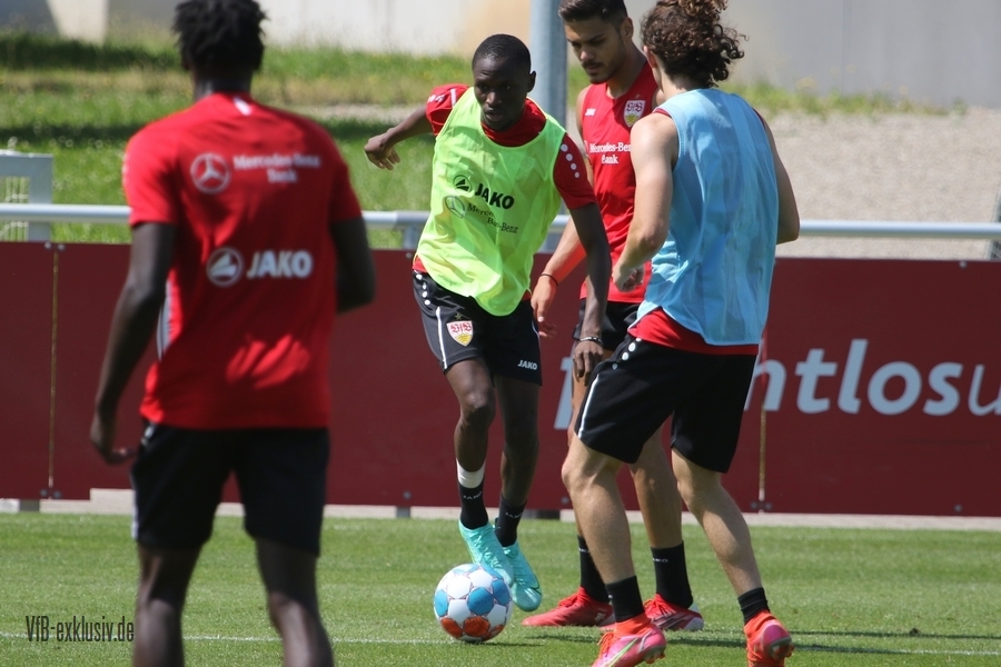 vfb12072121