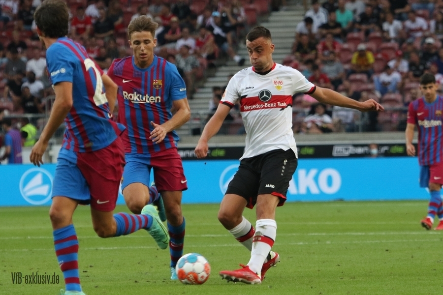 vfb31072135