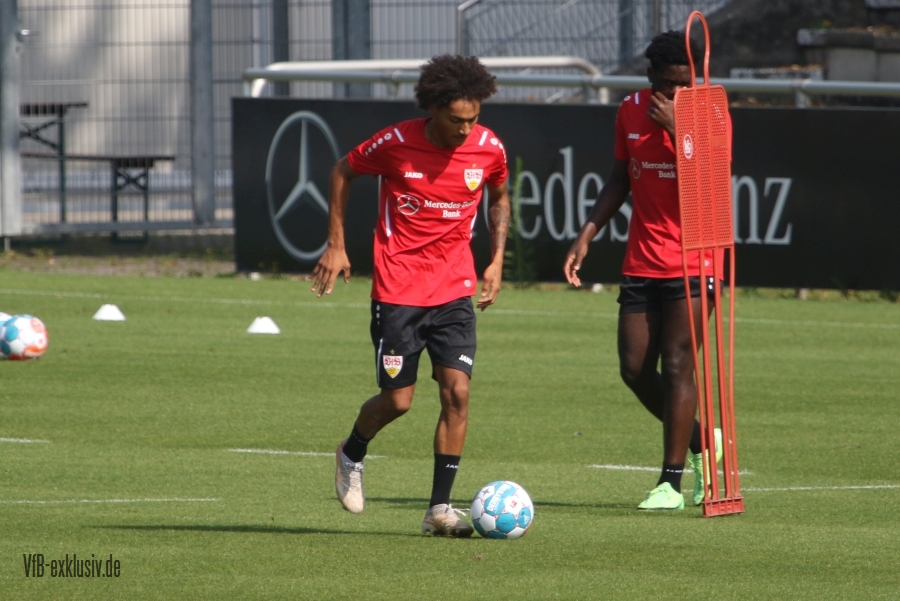 vfb15082101