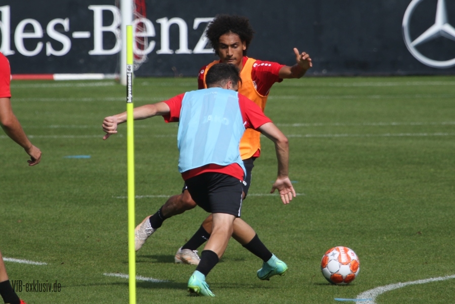 vfb15082102