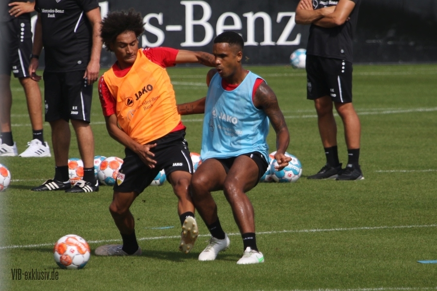vfb15082103