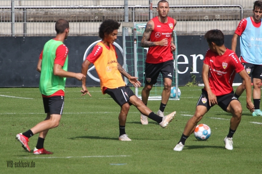 vfb15082105