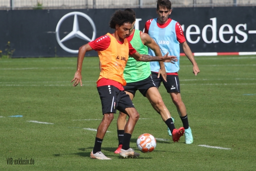 vfb15082106