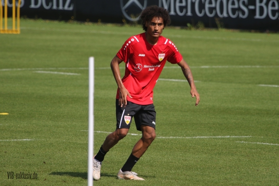 vfb15082111