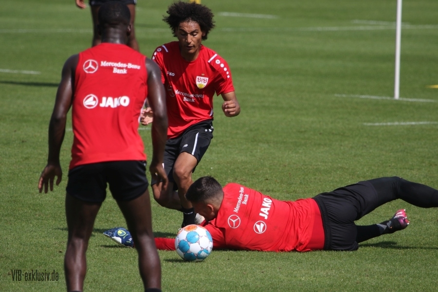 vfb15082113
