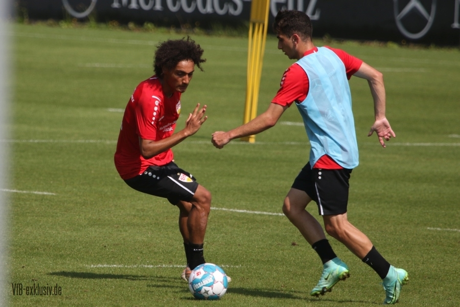 vfb15082114