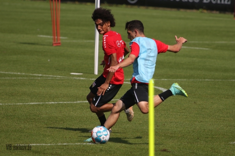 vfb15082115