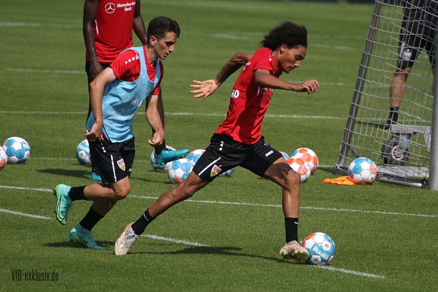 vfb15082117
