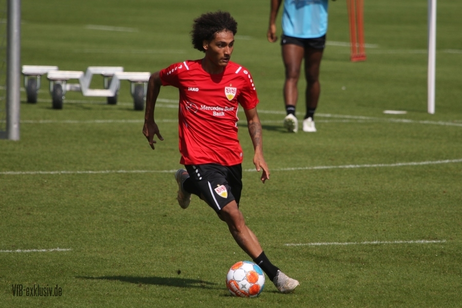 vfb15082119
