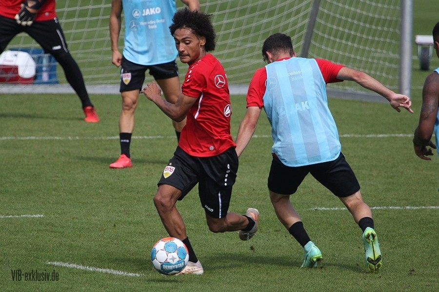 vfb15082121