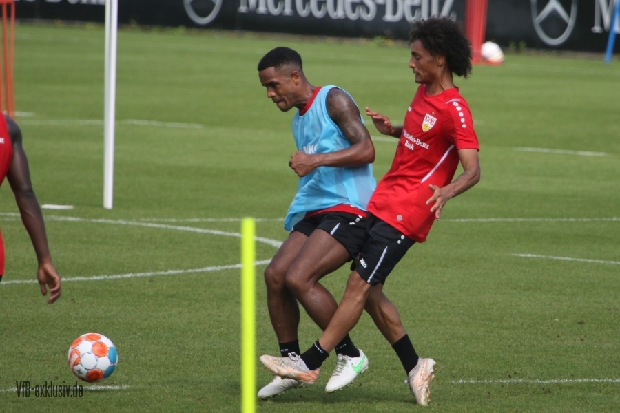 vfb15082122