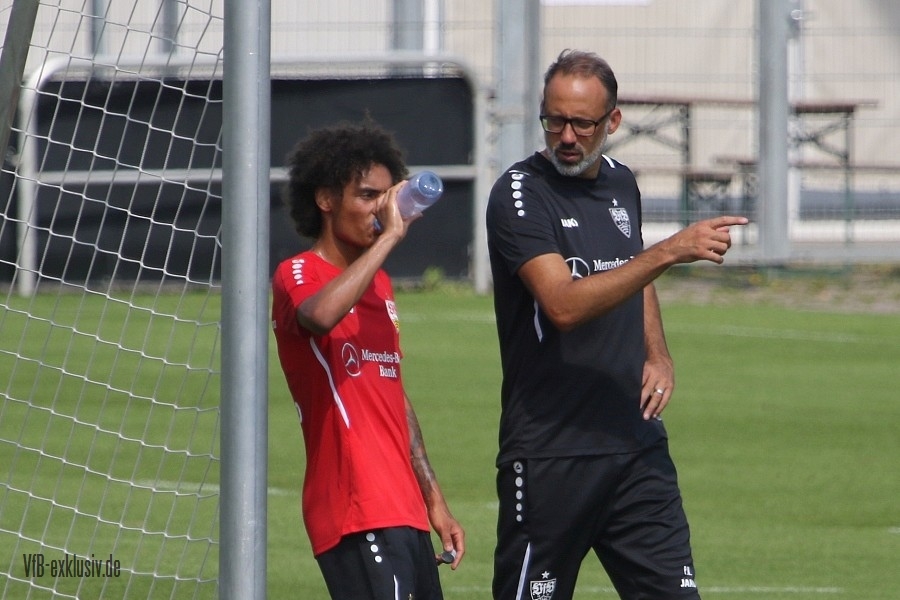 vfb15082123