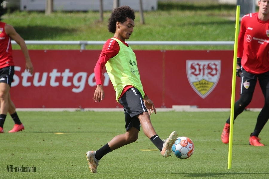 vfb17082113