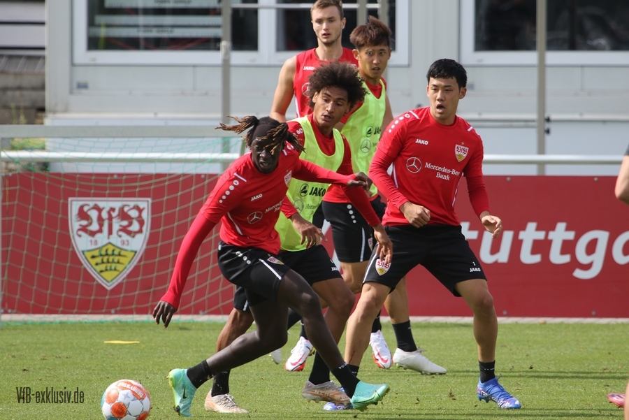 vfb17082115