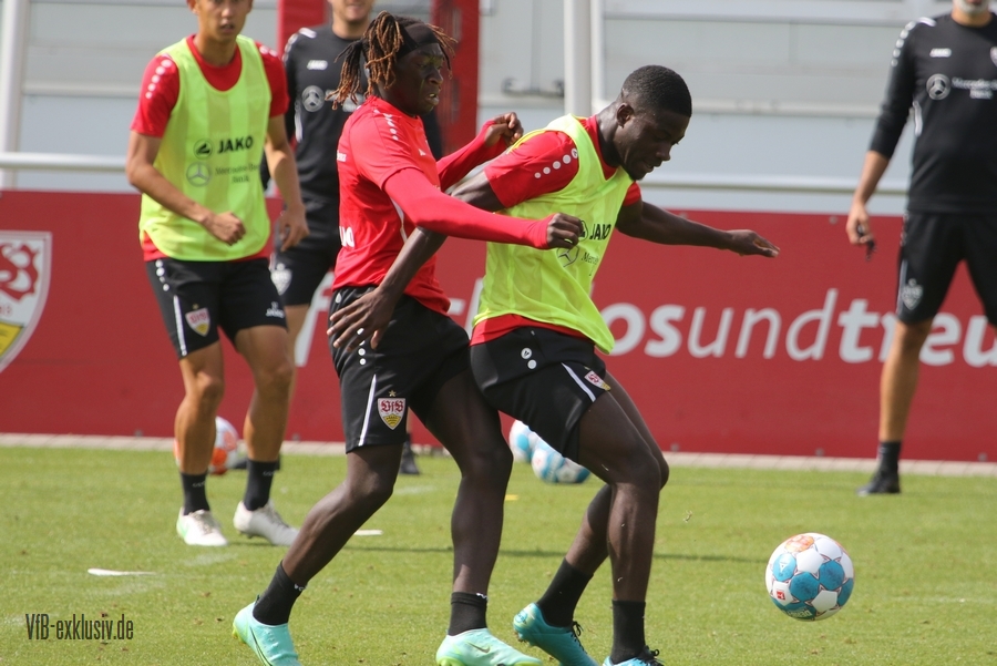 vfb17082116