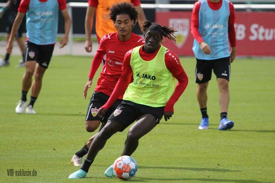 vfb17082118