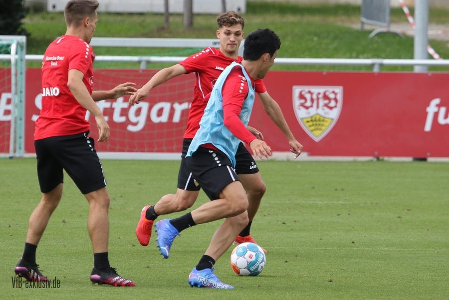 vfb17082121