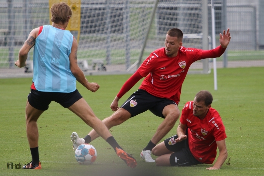 vfb17082124