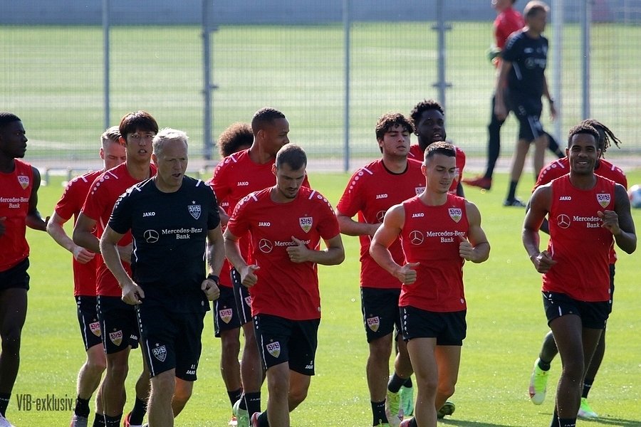 vfb13092101