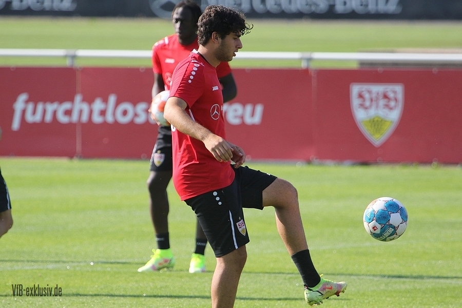 vfb13092102