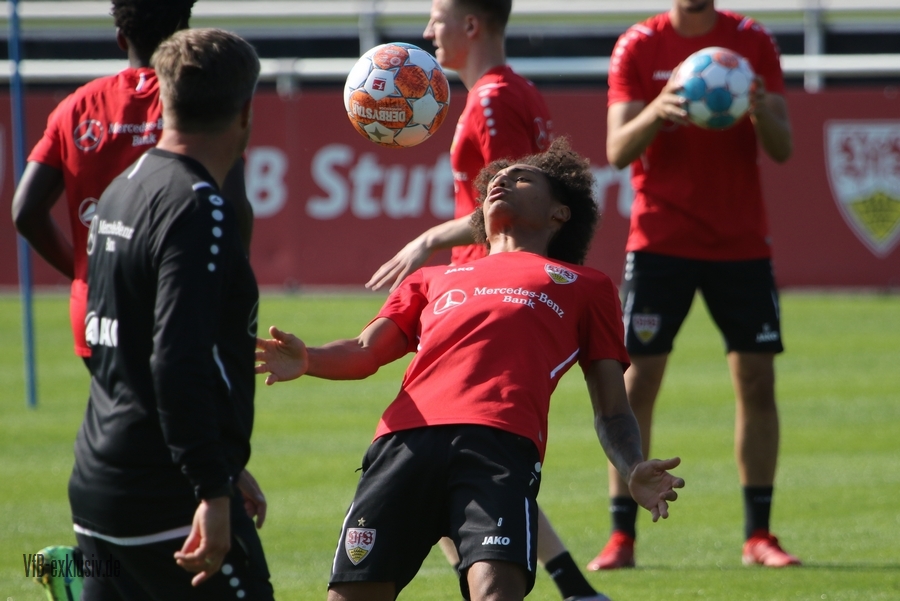 vfb13092106
