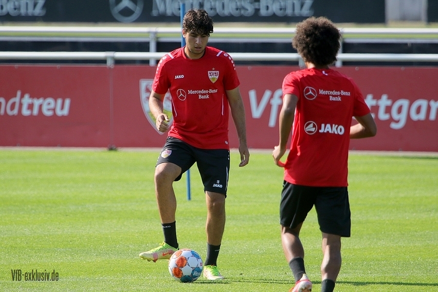 vfb13092107