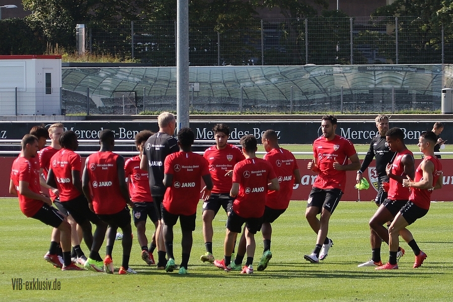 vfb13092109