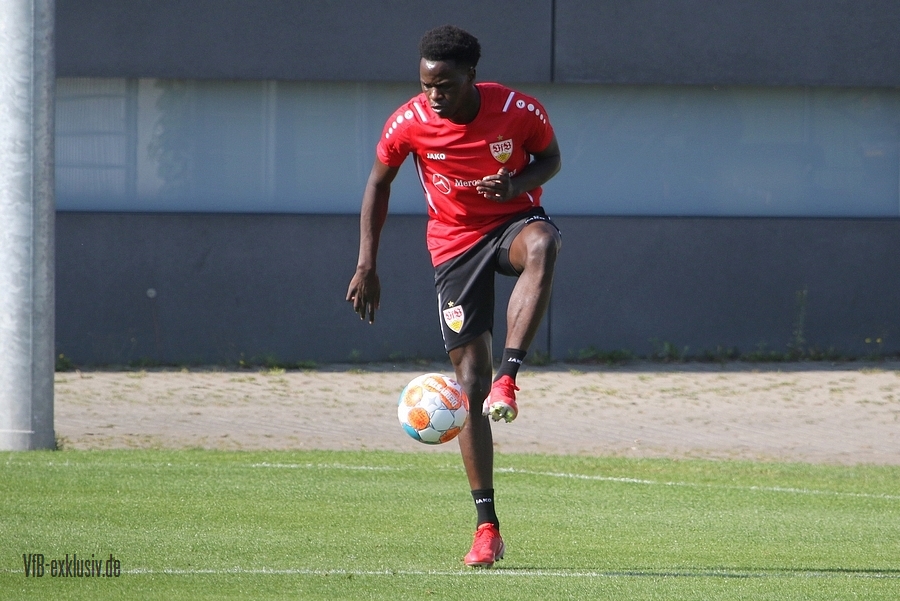 vfb13092110