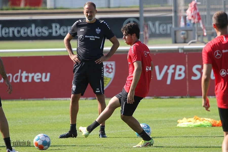 vfb13092112