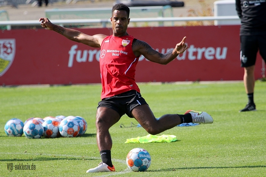 vfb13092113