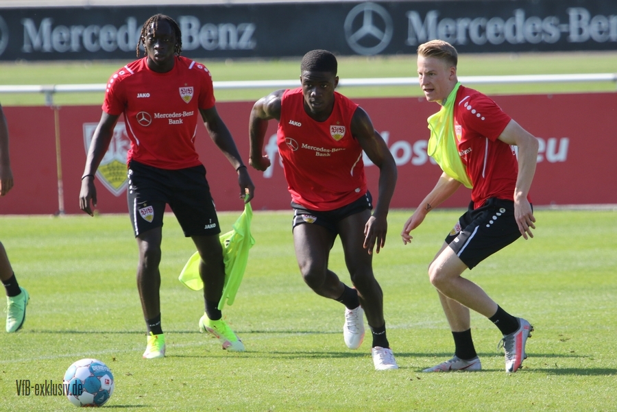 vfb13092114