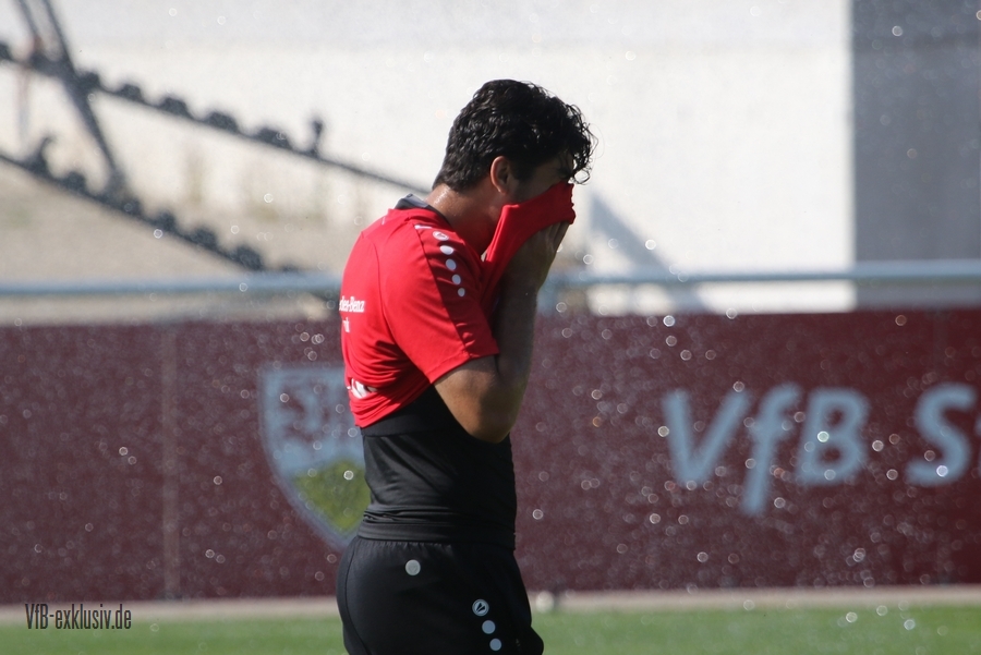 vfb13092118