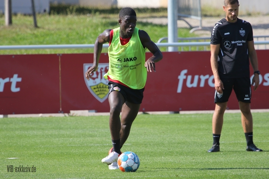 vfb13092121