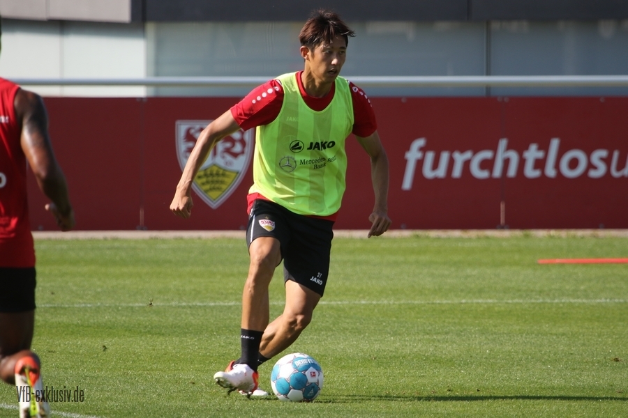 vfb13092122