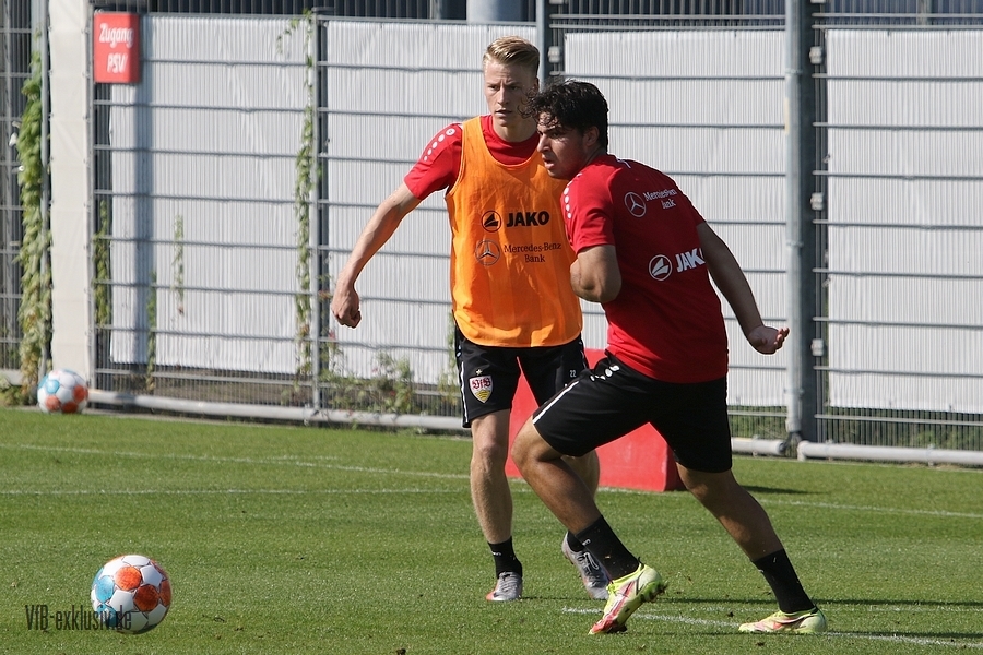vfb13092125