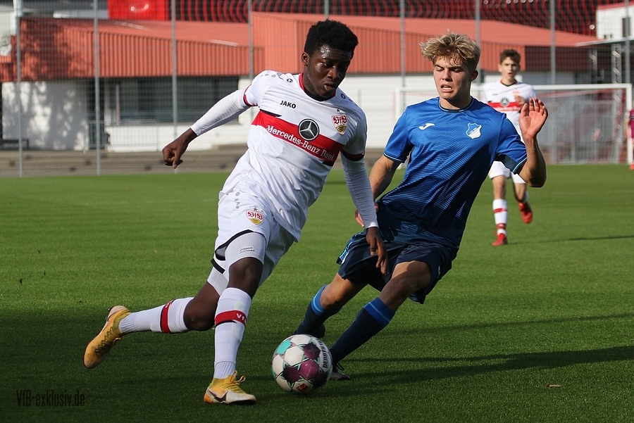 vfb31102113