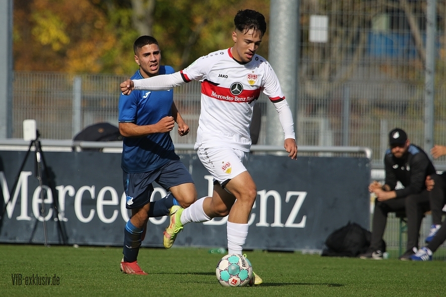 vfb31102118